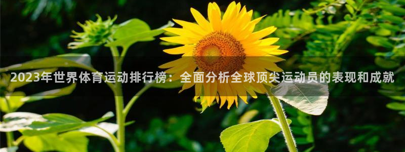 betway西汉姆