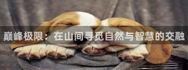 betway西汉姆联官网