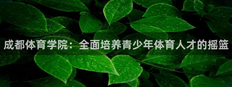 betway西汉姆