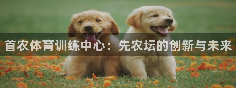betway西汉姆联官网