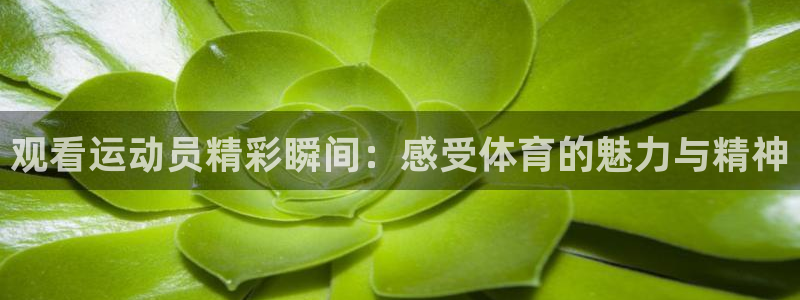 betway西汉姆